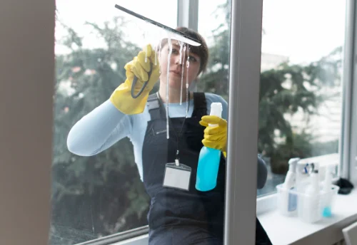 Nettoyage de vitres intérieures et extérieures à Moras-en-Valloire